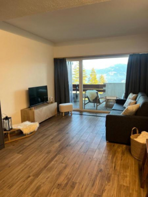 Studio élégant rénové avec vue à Anzère